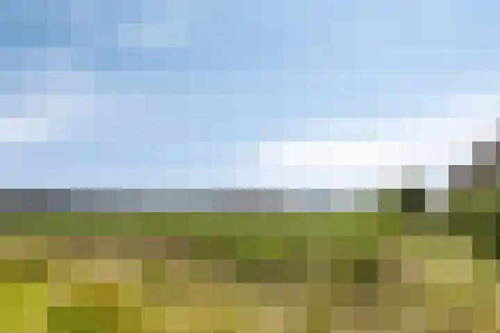 Kaarsenmaker 38 Oost West en Middelbeers thumbnail 34