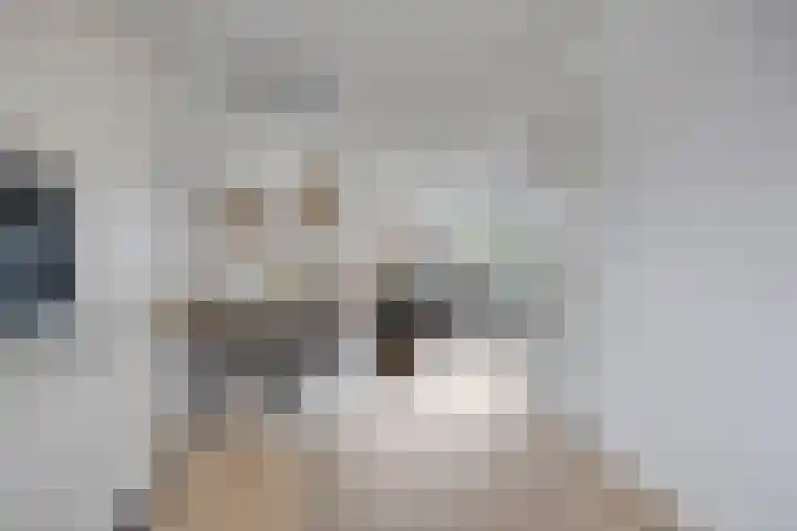 Kaarsenmaker 40 Oost West en Middelbeers thumbnail 15