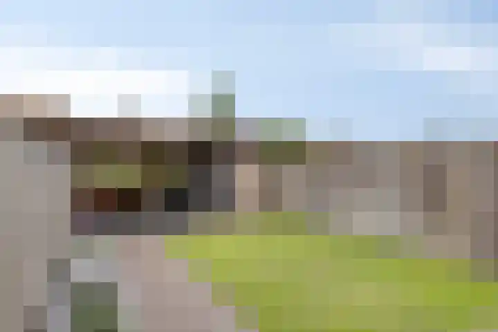 Kaarsenmaker 40 Oost West en Middelbeers thumbnail 35