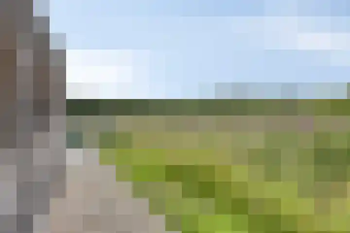 Kaarsenmaker 40 Oost West en Middelbeers thumbnail 36