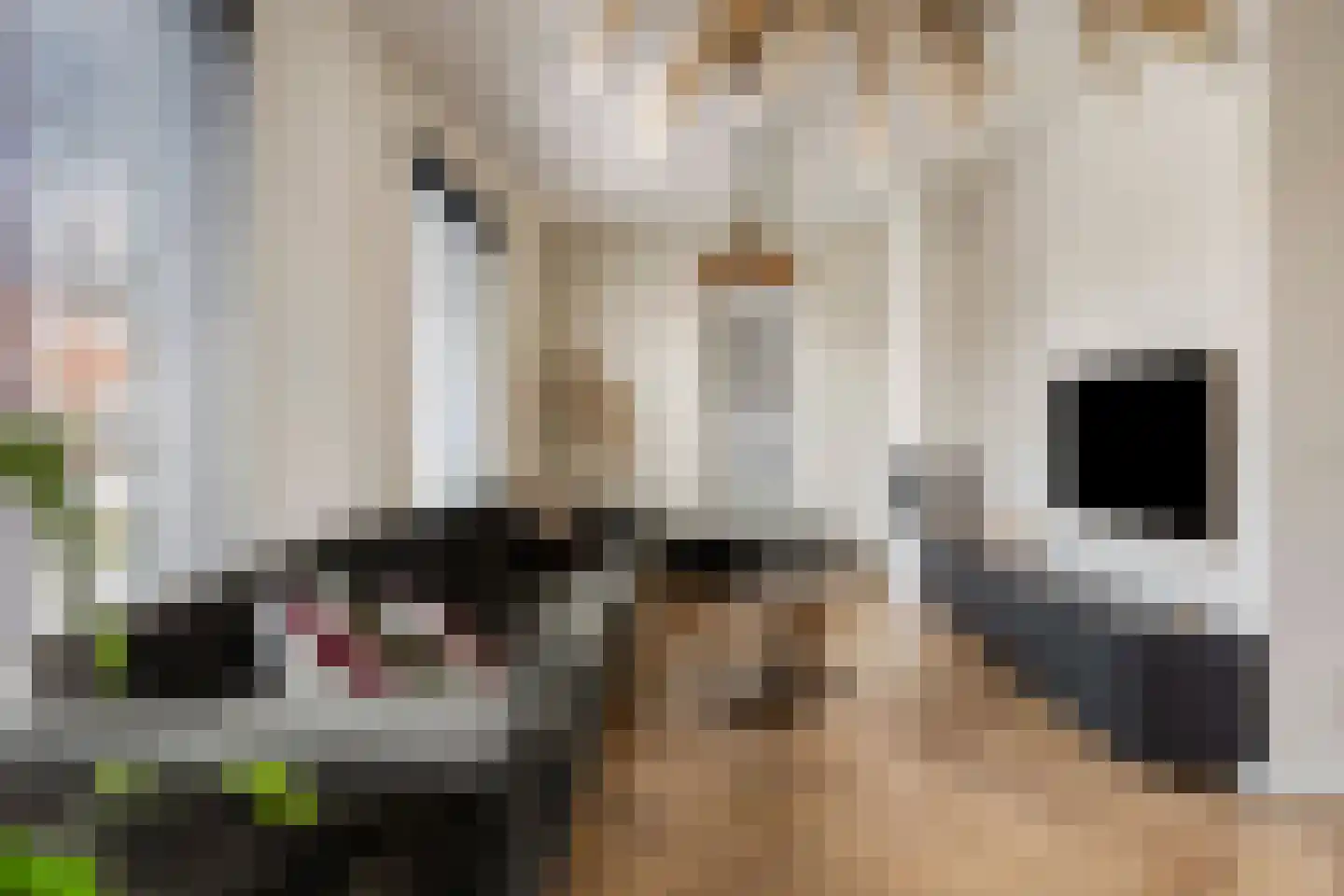 Kaarsenmaker 46 Oost West en Middelbeers thumbnail 15