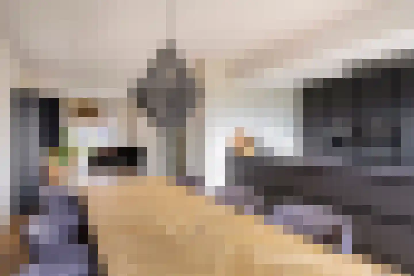 Kaarsenmaker 46 Oost West en Middelbeers thumbnail 18