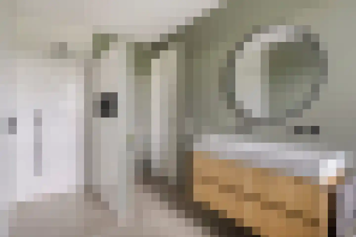 Kaarsenmaker 46 Oost West en Middelbeers thumbnail 36