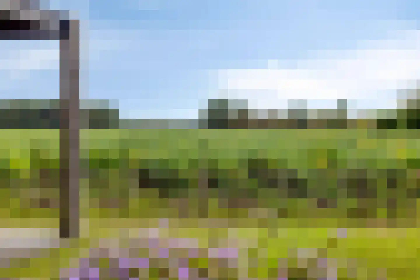 Kaarsenmaker 46 Oost West en Middelbeers thumbnail 44
