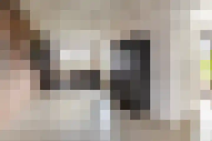 Kaarsenmaker 50 Oost West en Middelbeers thumbnail 16