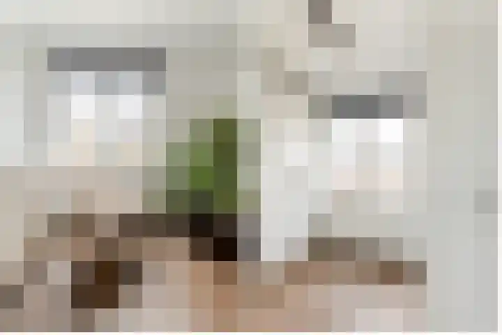Kaarsenmaker 50 Oost West en Middelbeers thumbnail 21