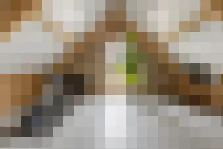 Kaarsenmaker 50 Oost West en Middelbeers thumbnail 25