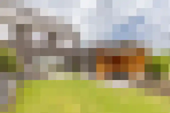 Kaarsenmaker 50 Oost West en Middelbeers thumbnail 28
