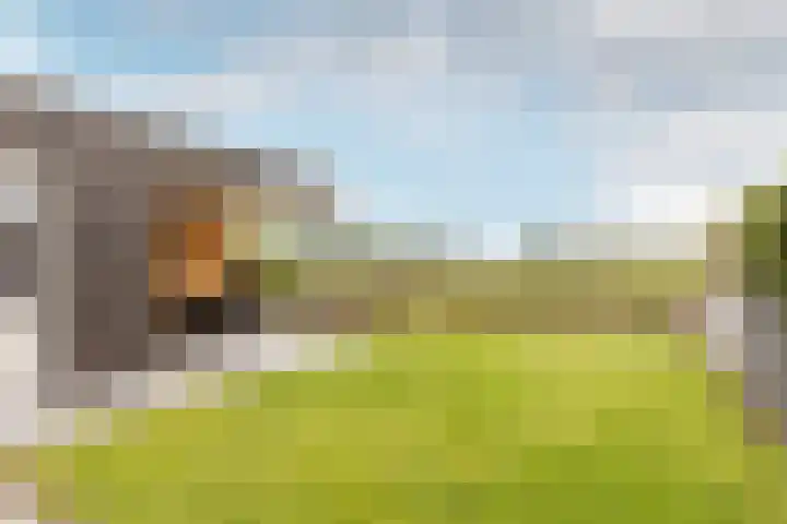 Kaarsenmaker 50 Oost West en Middelbeers thumbnail 29