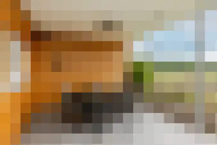 Kaarsenmaker 50 Oost West en Middelbeers thumbnail 30