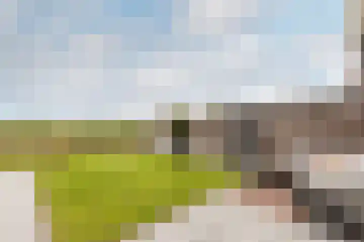 Kaarsenmaker 50 Oost West en Middelbeers thumbnail 31
