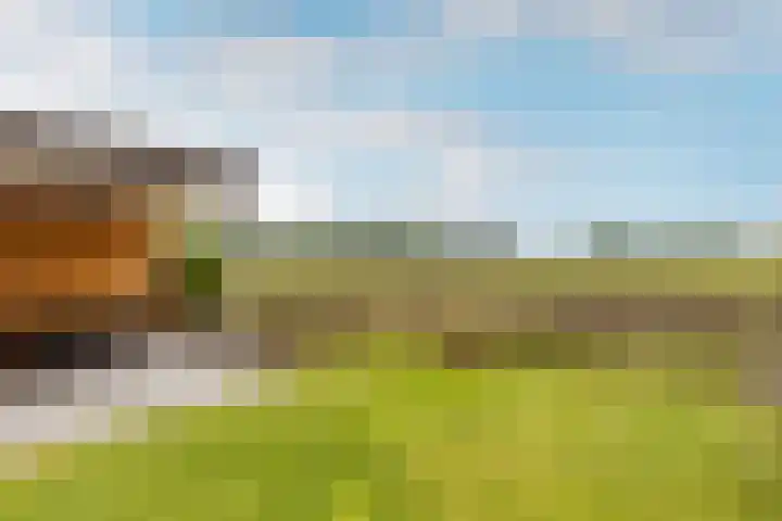 Kaarsenmaker 50 Oost West en Middelbeers thumbnail 32