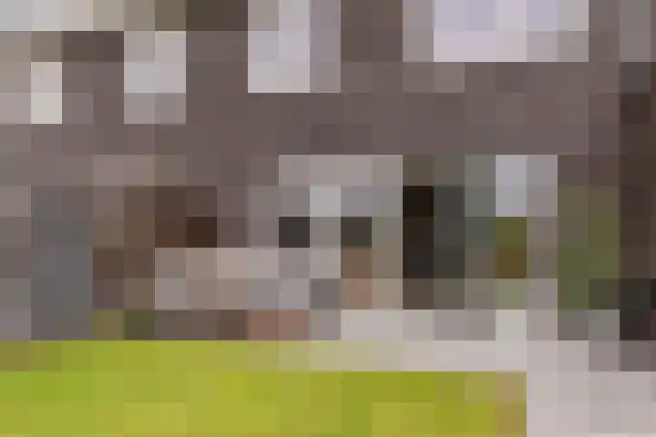 Kaarsenmaker 50 Oost West en Middelbeers thumbnail 35