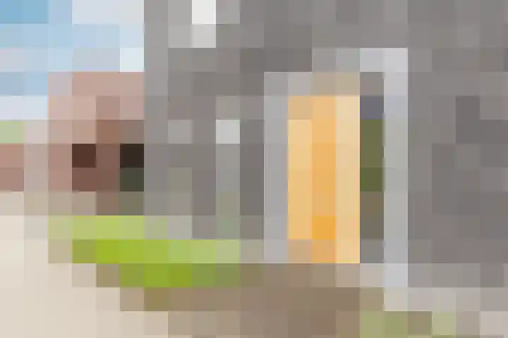 Kaarsenmaker 50 Oost West en Middelbeers thumbnail 5