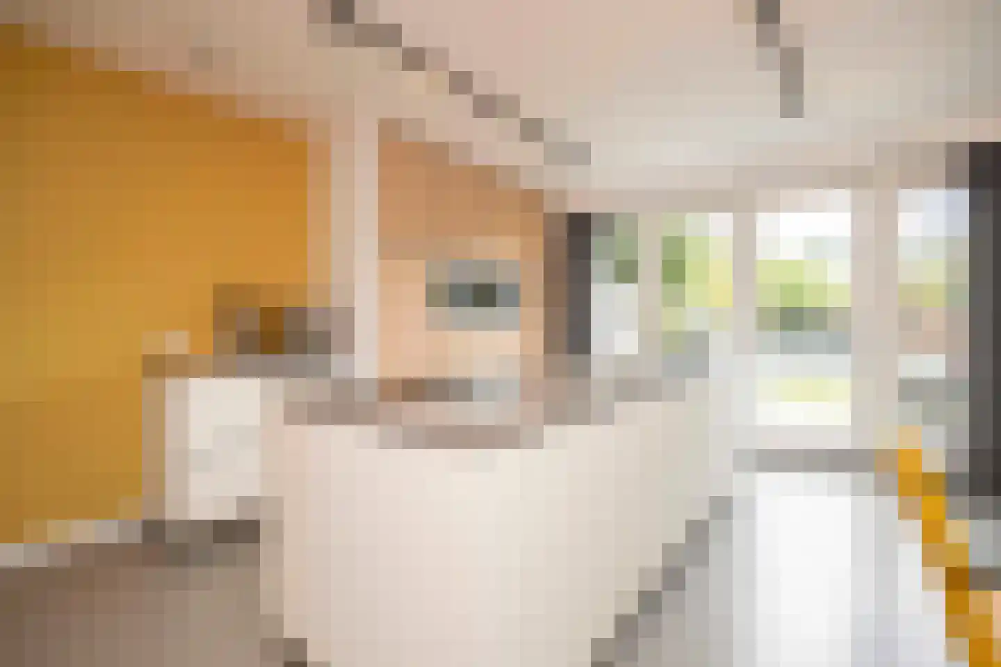 Kaarsenmaker 76 Oost West en Middelbeers thumbnail 18
