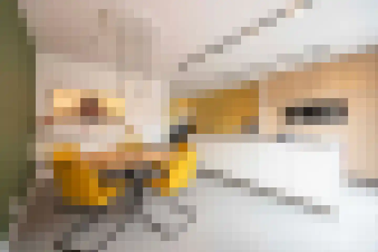Kaarsenmaker 76 Oost West en Middelbeers thumbnail 19