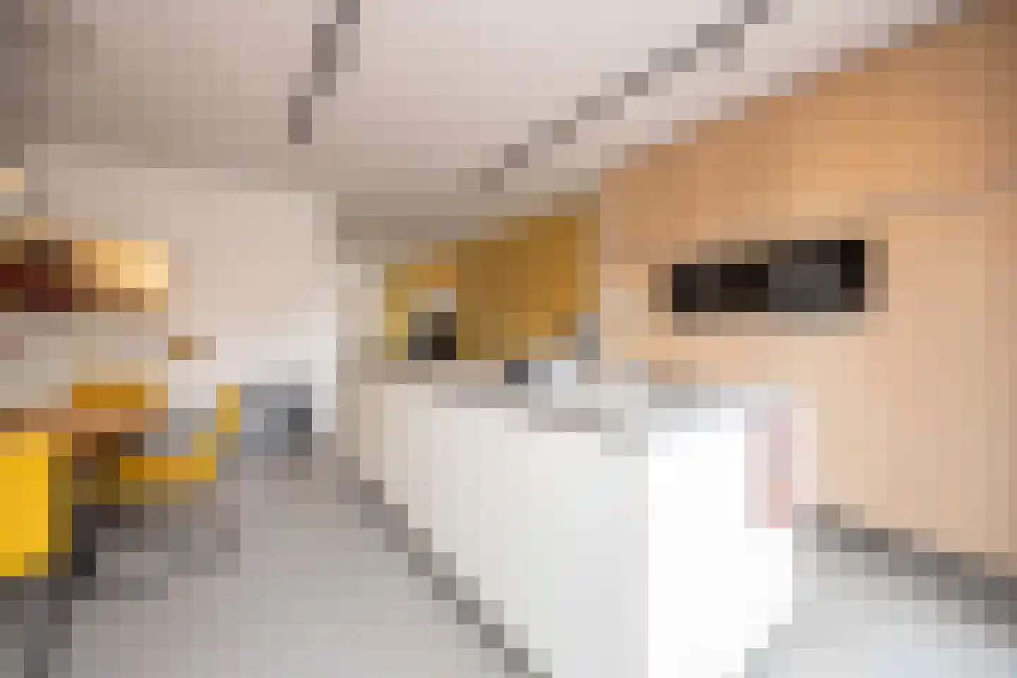 Kaarsenmaker 76 Oost West en Middelbeers thumbnail 20