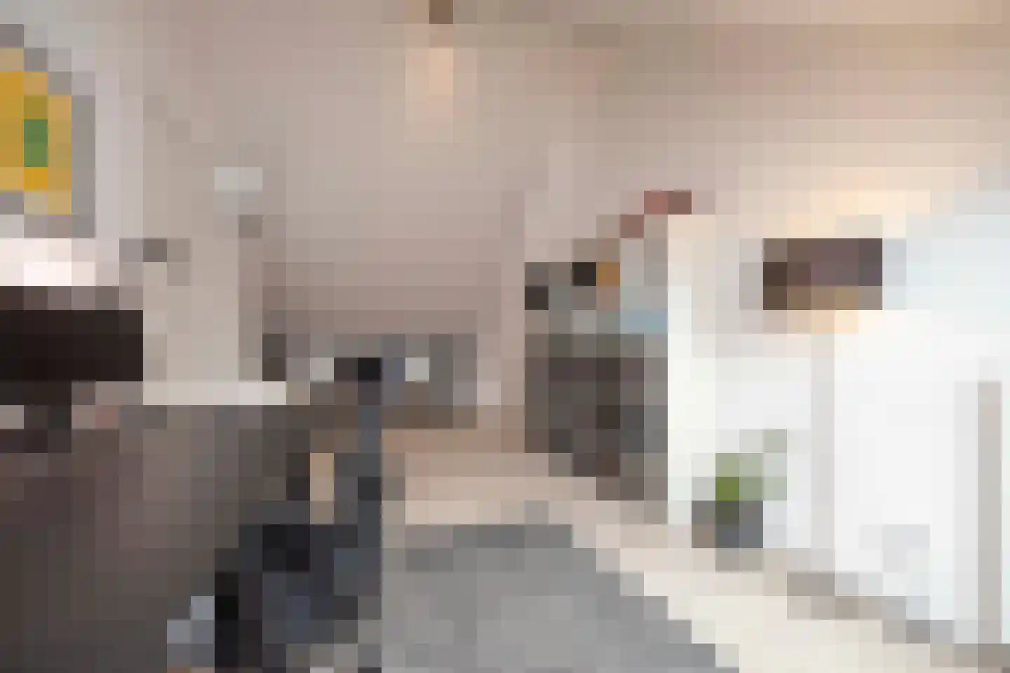 Kaarsenmaker 76 Oost West en Middelbeers thumbnail 41