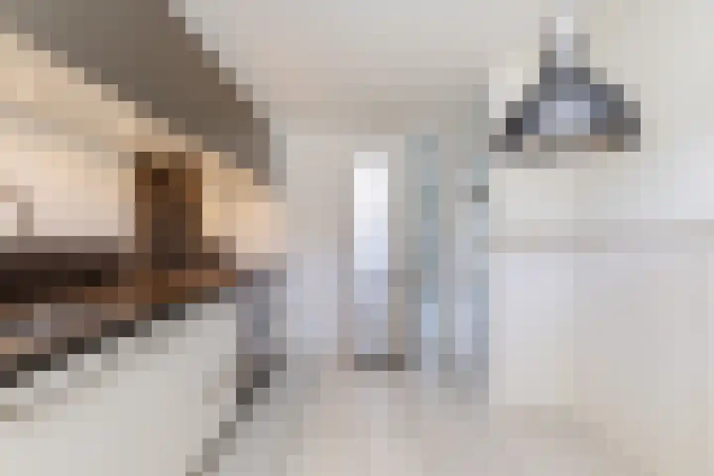 Kaarsenmakerhof 17 Schiedam thumbnail 24