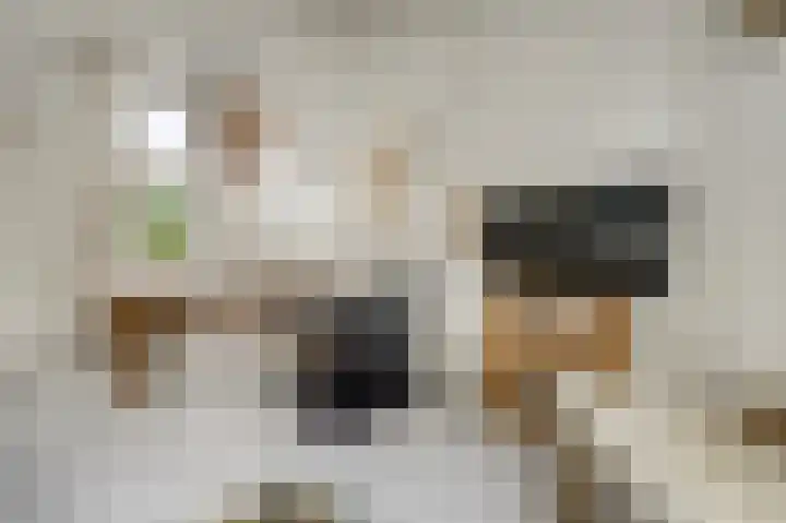 Kaarsenmakersdam 6 Warmond thumbnail 12