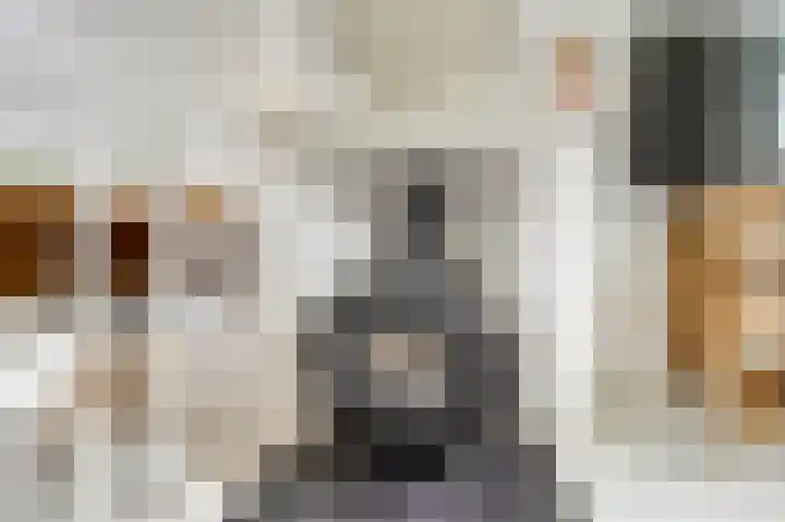 Kaarsenmakersdam 6 Warmond thumbnail 14