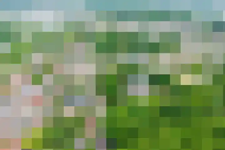 Kaarsenmakersdam 6 Warmond thumbnail 28