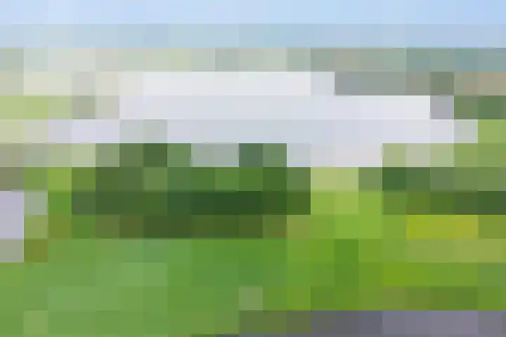 Kaarsenmakersdam 6 Warmond thumbnail 30