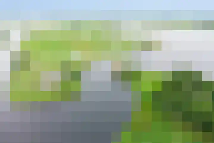 Kaarsenmakersdam 6 Warmond thumbnail 31