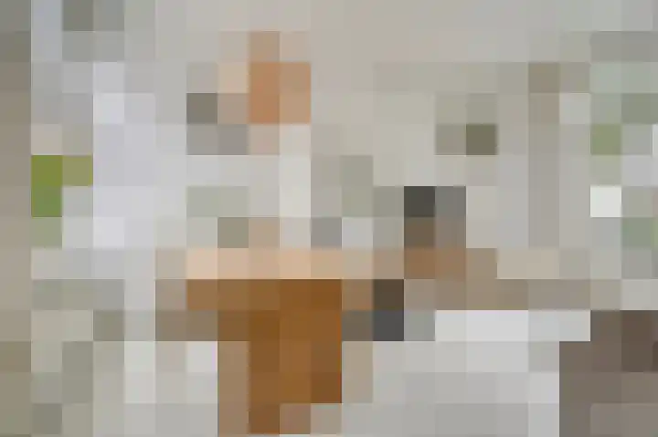 Kaarsenmakersdam 6 Warmond thumbnail 9
