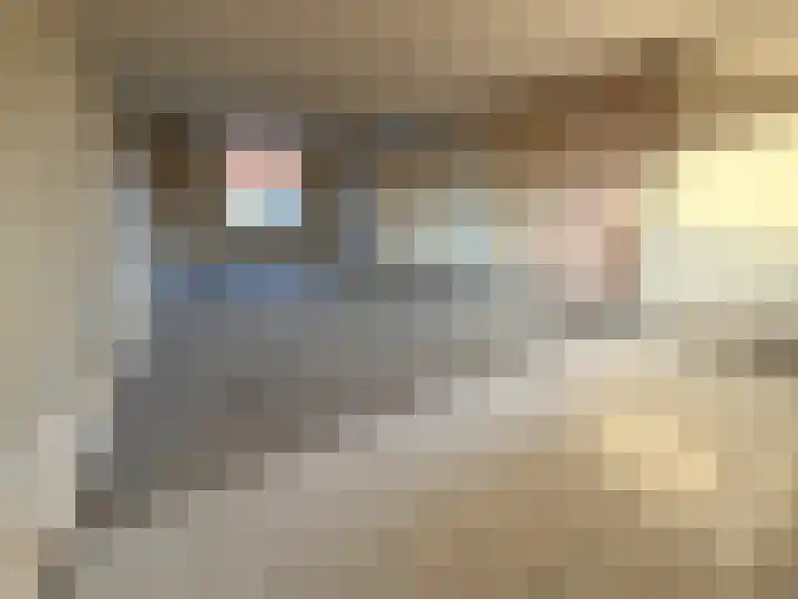 Kaasjeskruid 23 Zeewolde thumbnail 11