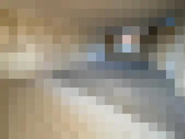 Kaasjeskruid 23 Zeewolde thumbnail 12