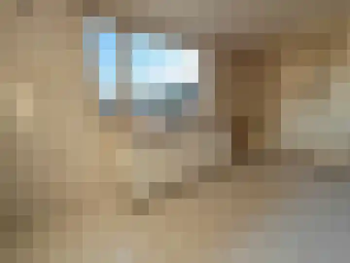 Kaasjeskruid 23 Zeewolde thumbnail 13
