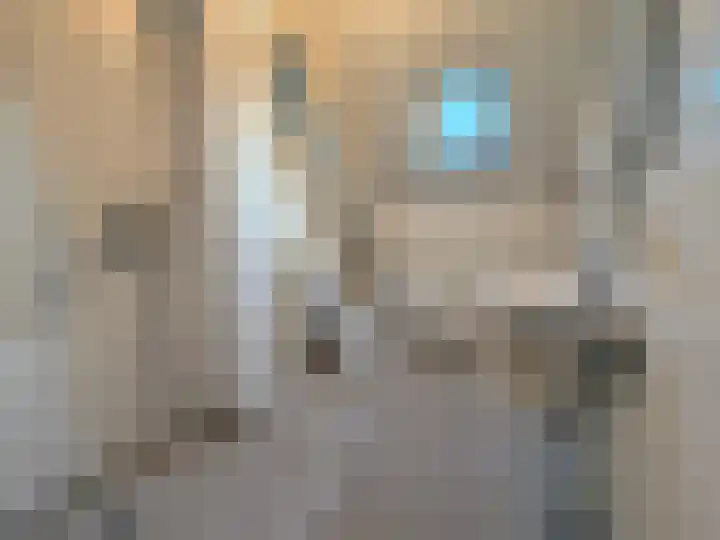 Kaasjeskruid 23 Zeewolde thumbnail 28