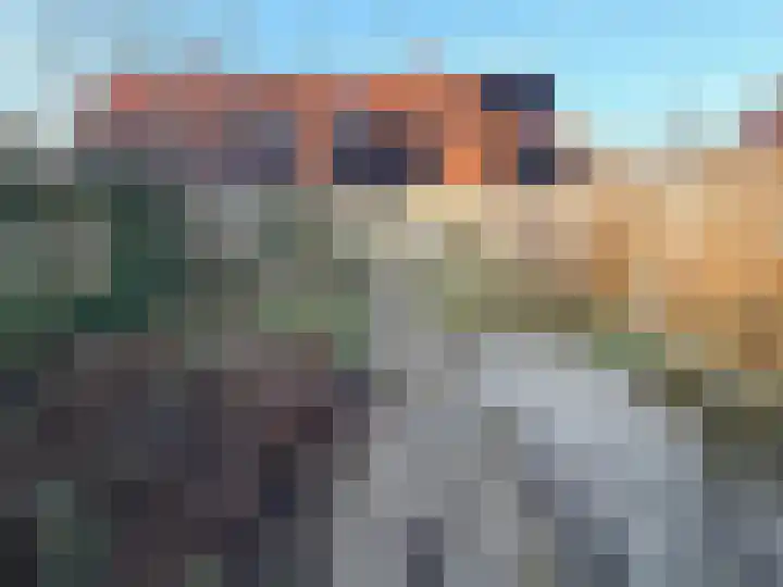 Kaasjeskruid 23 Zeewolde thumbnail 38