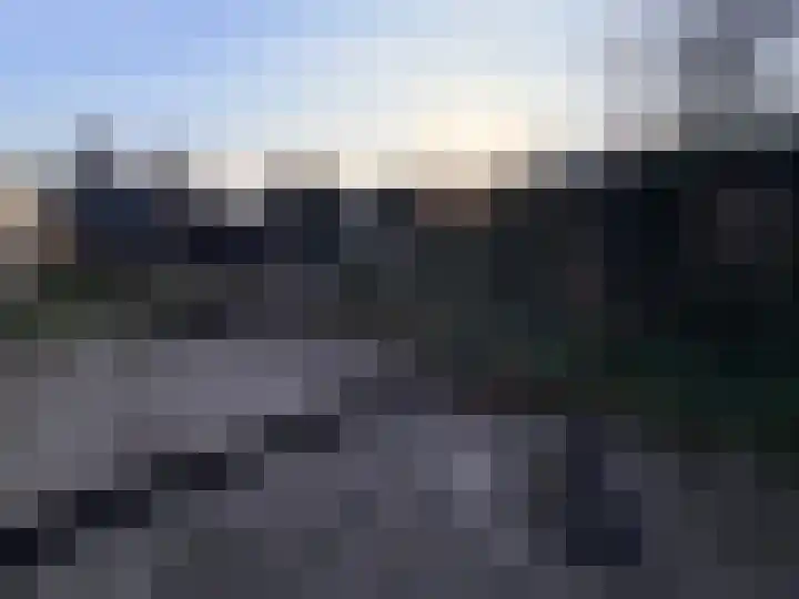 Kaasjeskruid 23 Zeewolde thumbnail 40