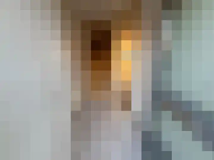 Kaasjeskruid 23 Zeewolde thumbnail 7