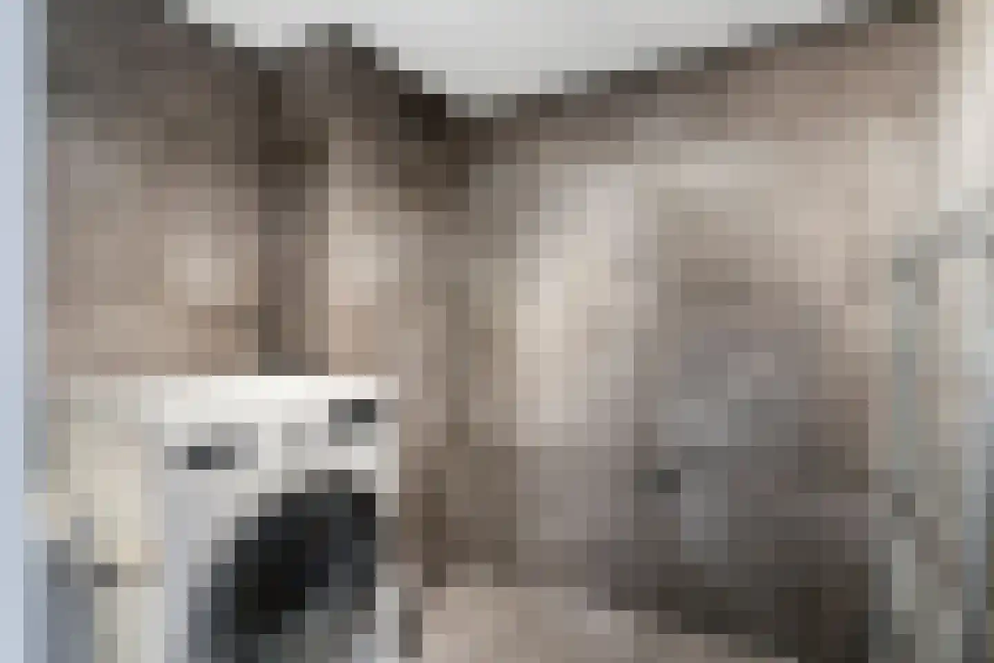 Kaasjeskruid 49 Amersfoort thumbnail 27