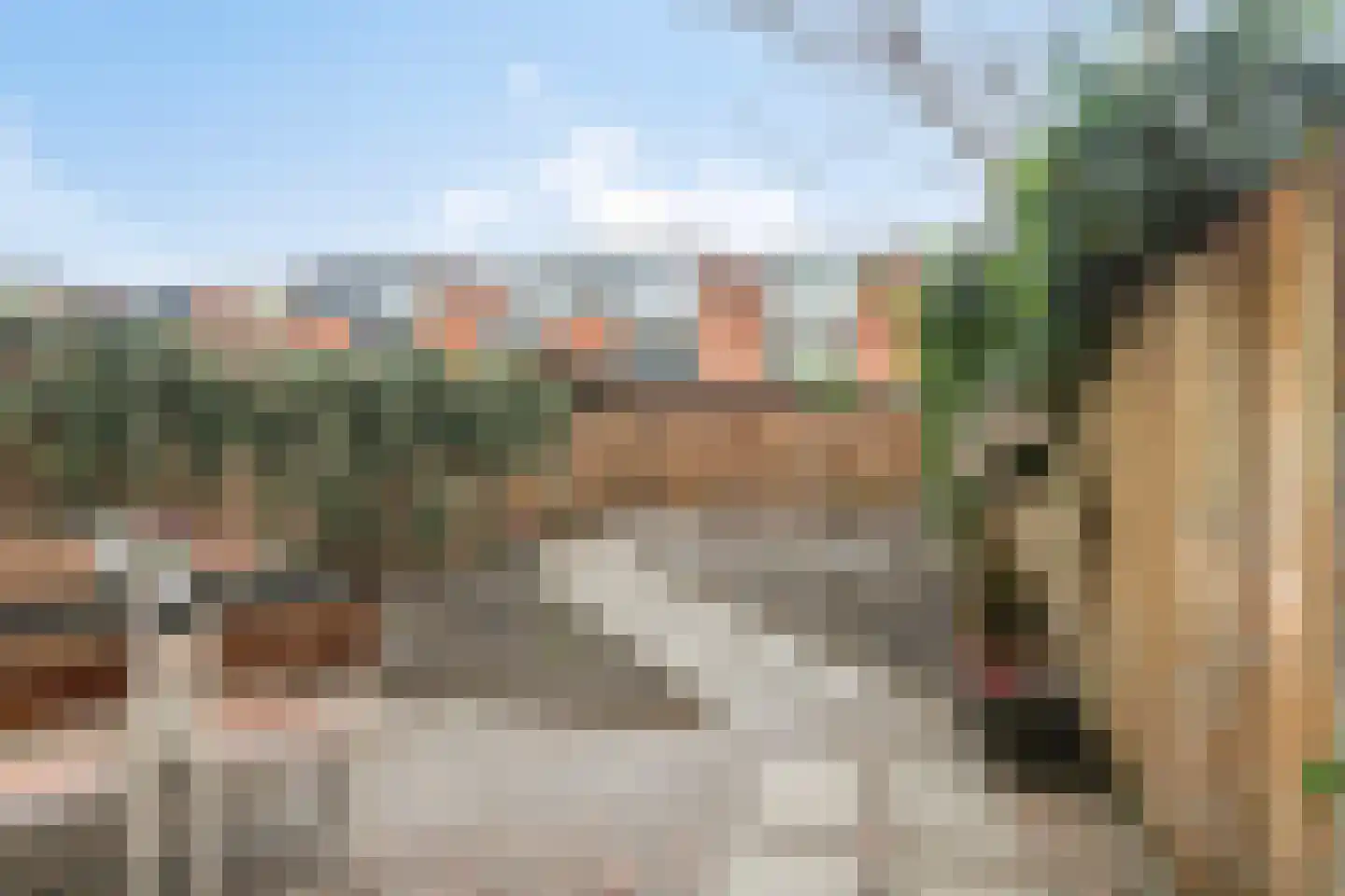 Kaasjeskruid 49 Amersfoort thumbnail 29