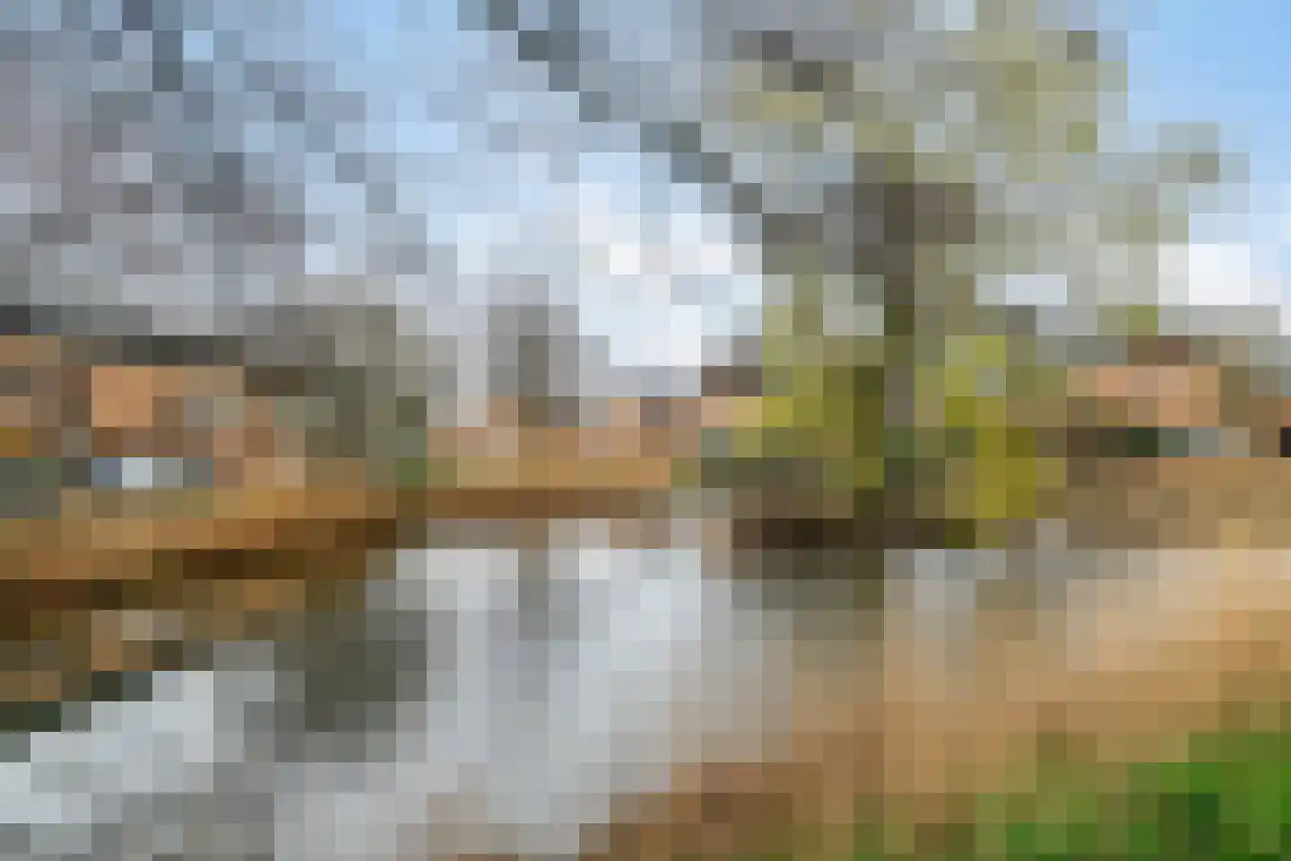 Kaasjeskruid 49 Amersfoort thumbnail 30