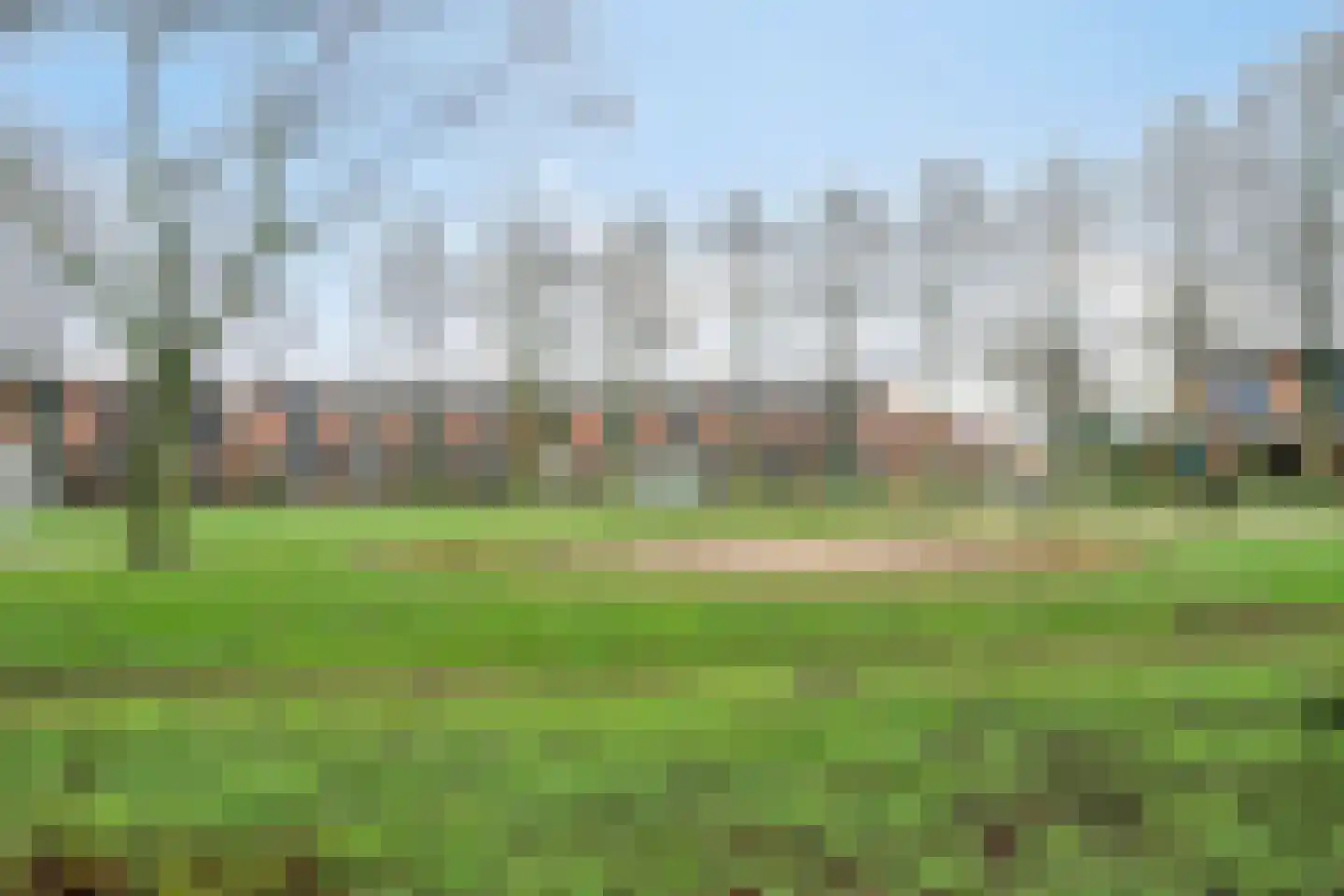 Kaasjeskruid 49 Amersfoort thumbnail 31