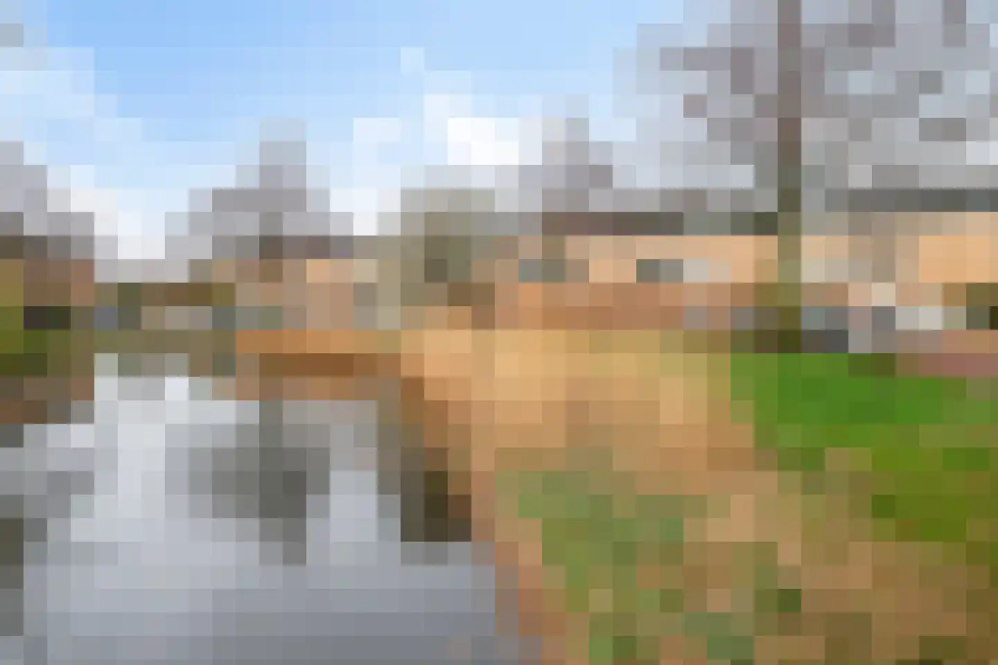Kaasjeskruid 49 Amersfoort thumbnail 32