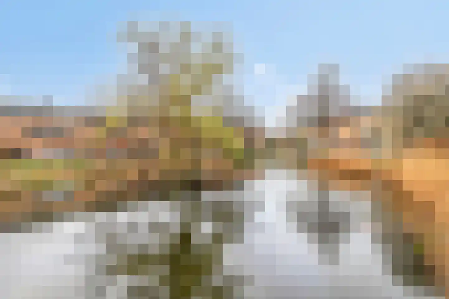 Kaasjeskruid 49 Amersfoort thumbnail 33