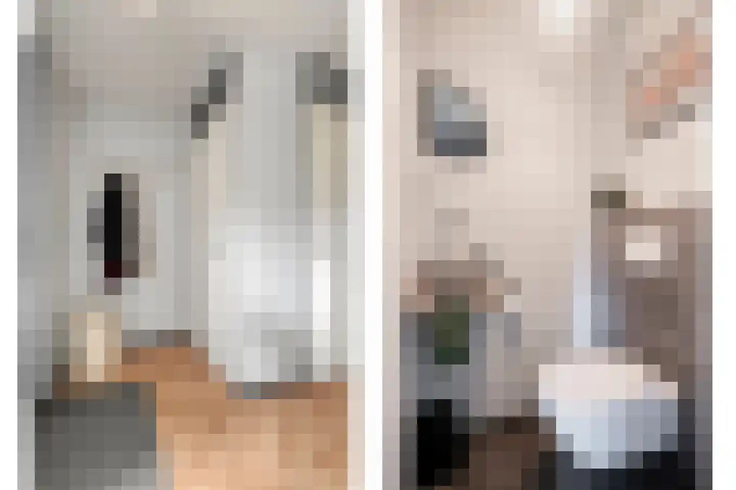 Kaasjeskruid 49 Amersfoort thumbnail 7