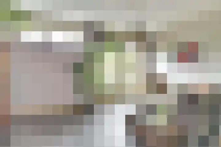 Kaasjeskruid 5 Amersfoort thumbnail 10