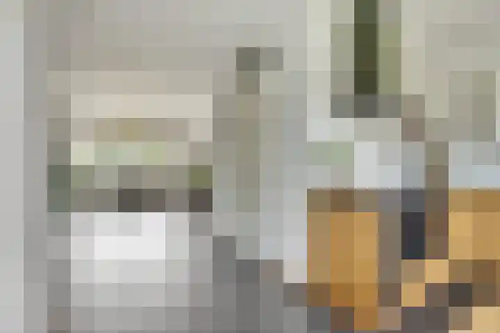 Kaasjeskruid 5 Amersfoort thumbnail 15