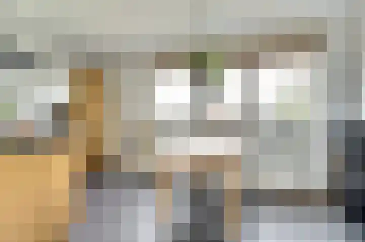 Kaasjeskruid 5 Amersfoort thumbnail 16