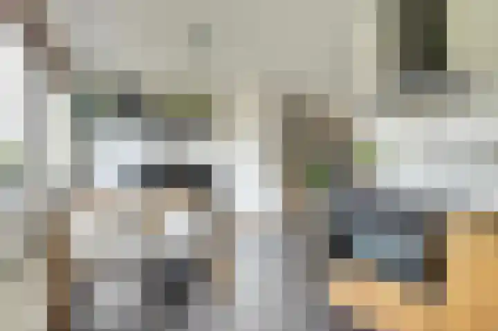 Kaasjeskruid 5 Amersfoort thumbnail 17