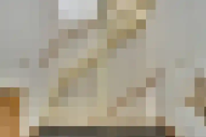 Kaasjeskruid 5 Amersfoort thumbnail 21