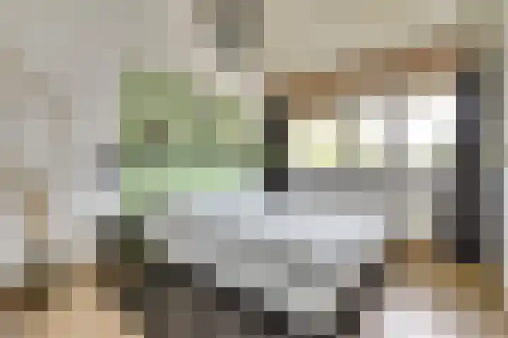 Kaasjeskruid 5 Amersfoort thumbnail 26