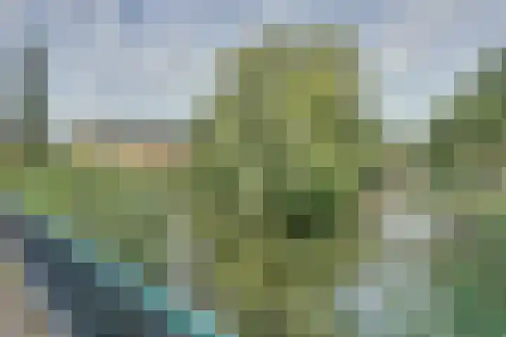 Kaasjeskruid 5 Amersfoort thumbnail 30